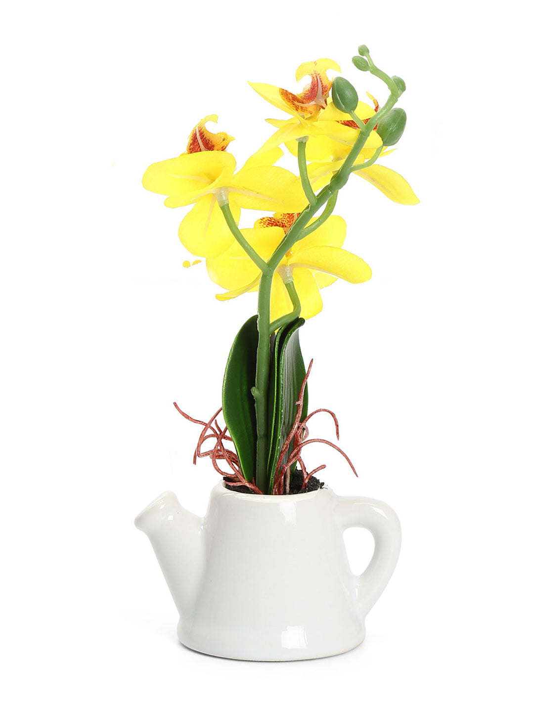 Orchid Teapot Potted Plant (Yellow)