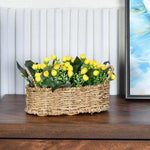 Rose Buds Basket Potted Plant (Yellow)