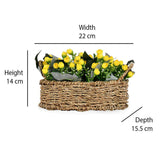 Rose Buds Basket Potted Plant (Yellow)