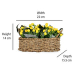 Rose Buds Basket Potted Plant (Yellow)