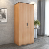 Milford 2 Door Wardrobe (Urban Teak)