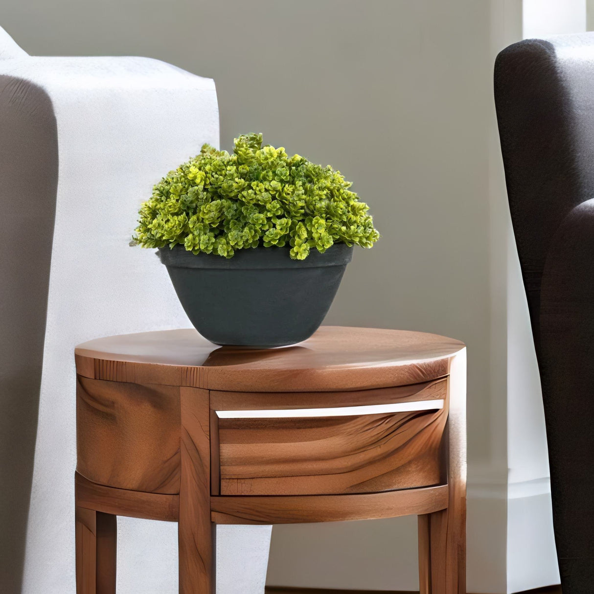 Nilkamal Boxwood Round Potted Plant (Green)